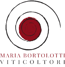 logo 17